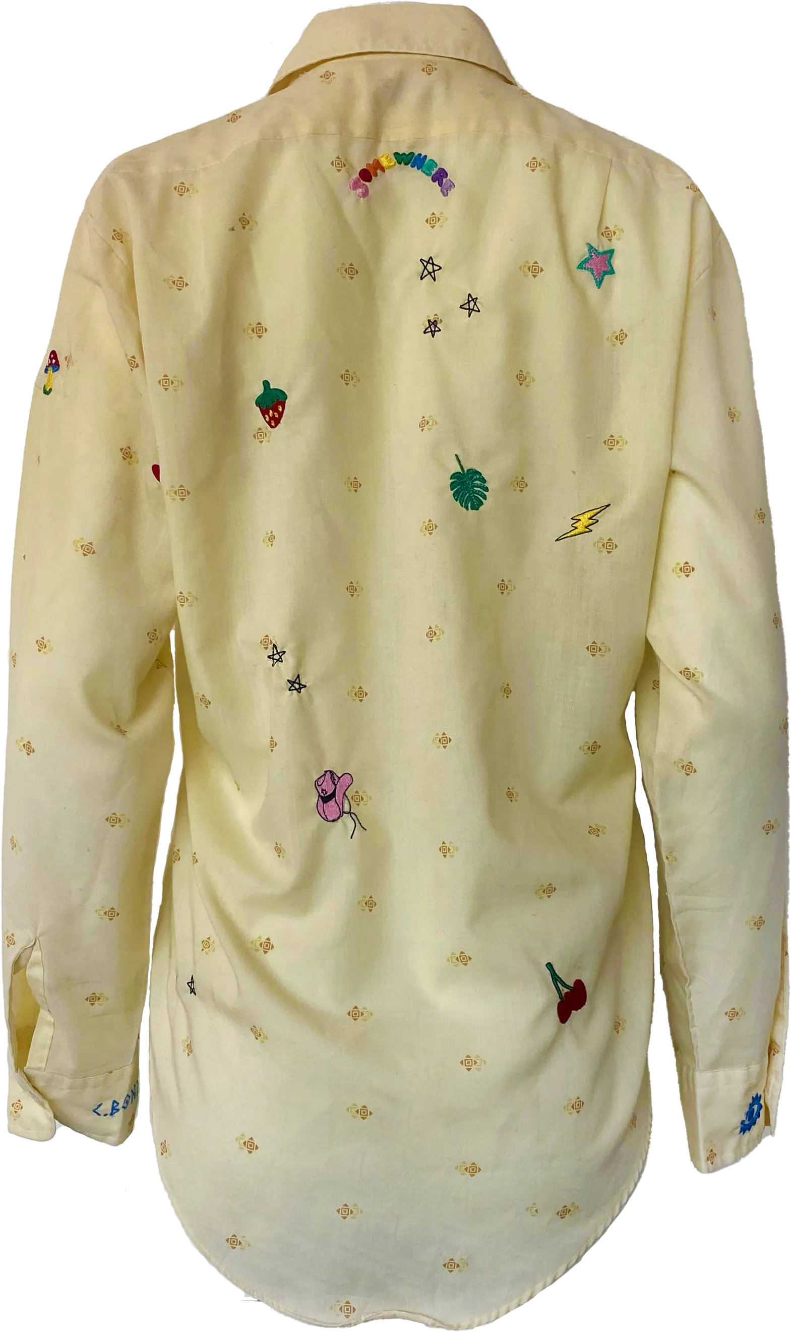 CBonz Mini Sprinkles Button Down