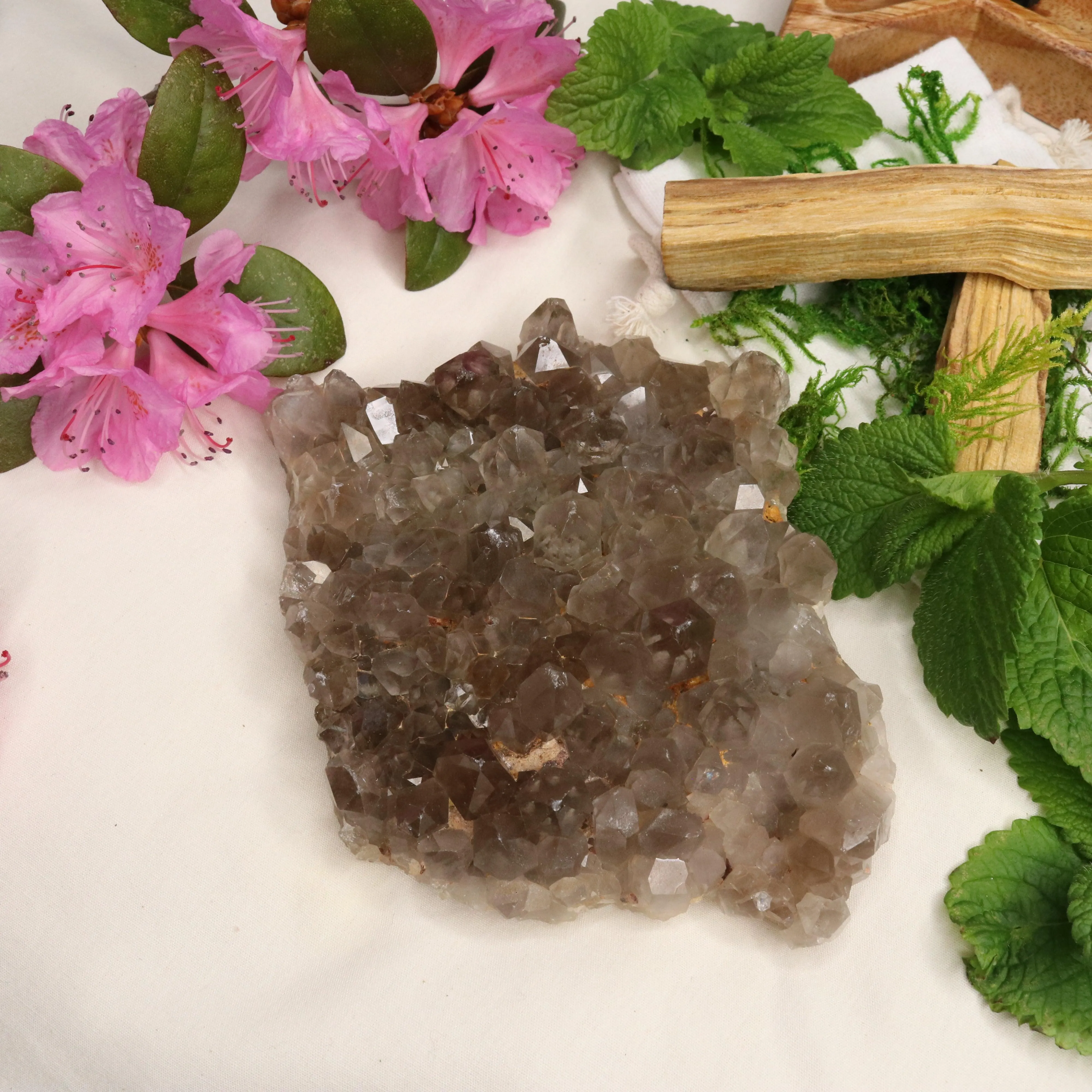 Large Grade A Smoky Quartz Cluster ~ Grounding and Meditative