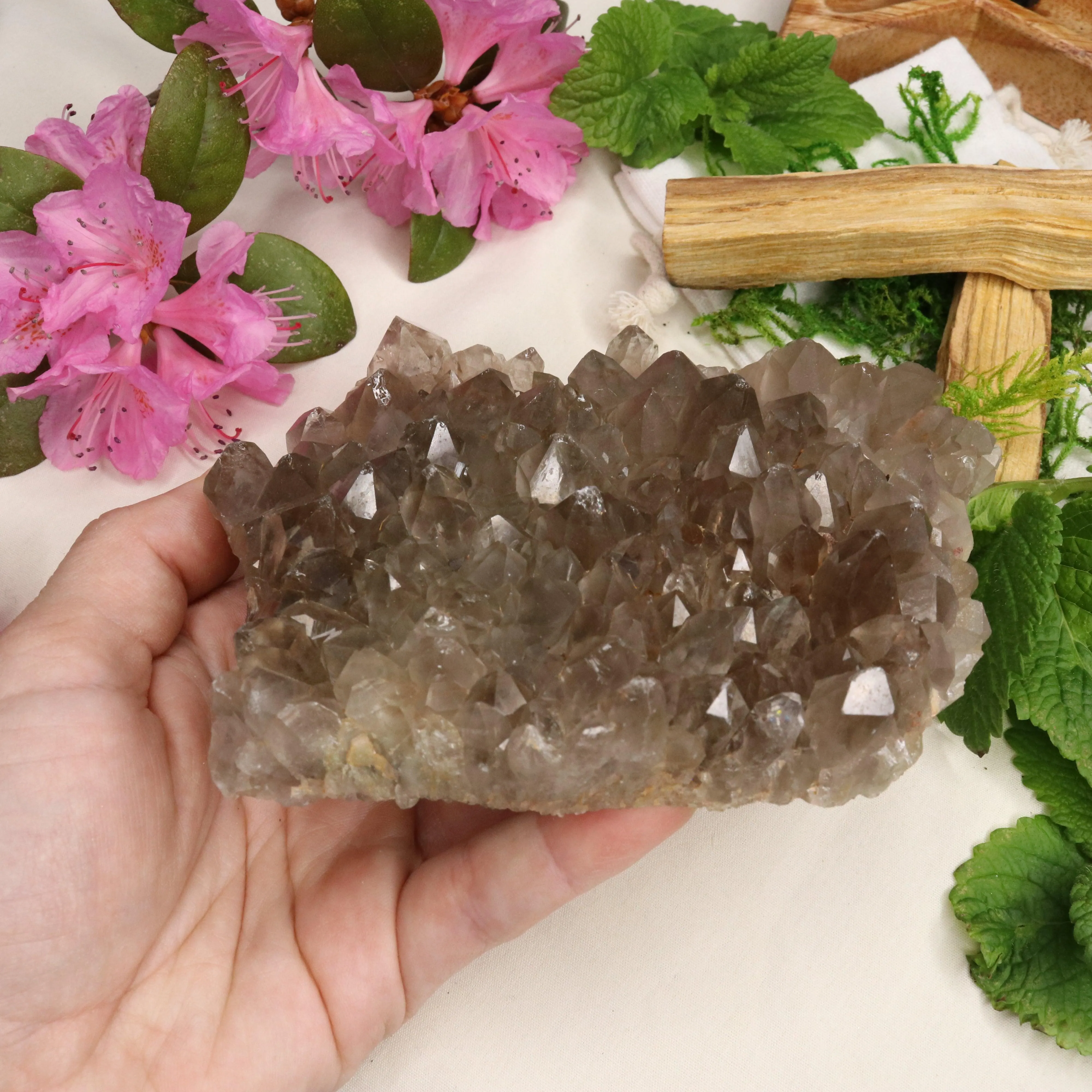 Large Grade A Smoky Quartz Cluster ~ Grounding and Meditative