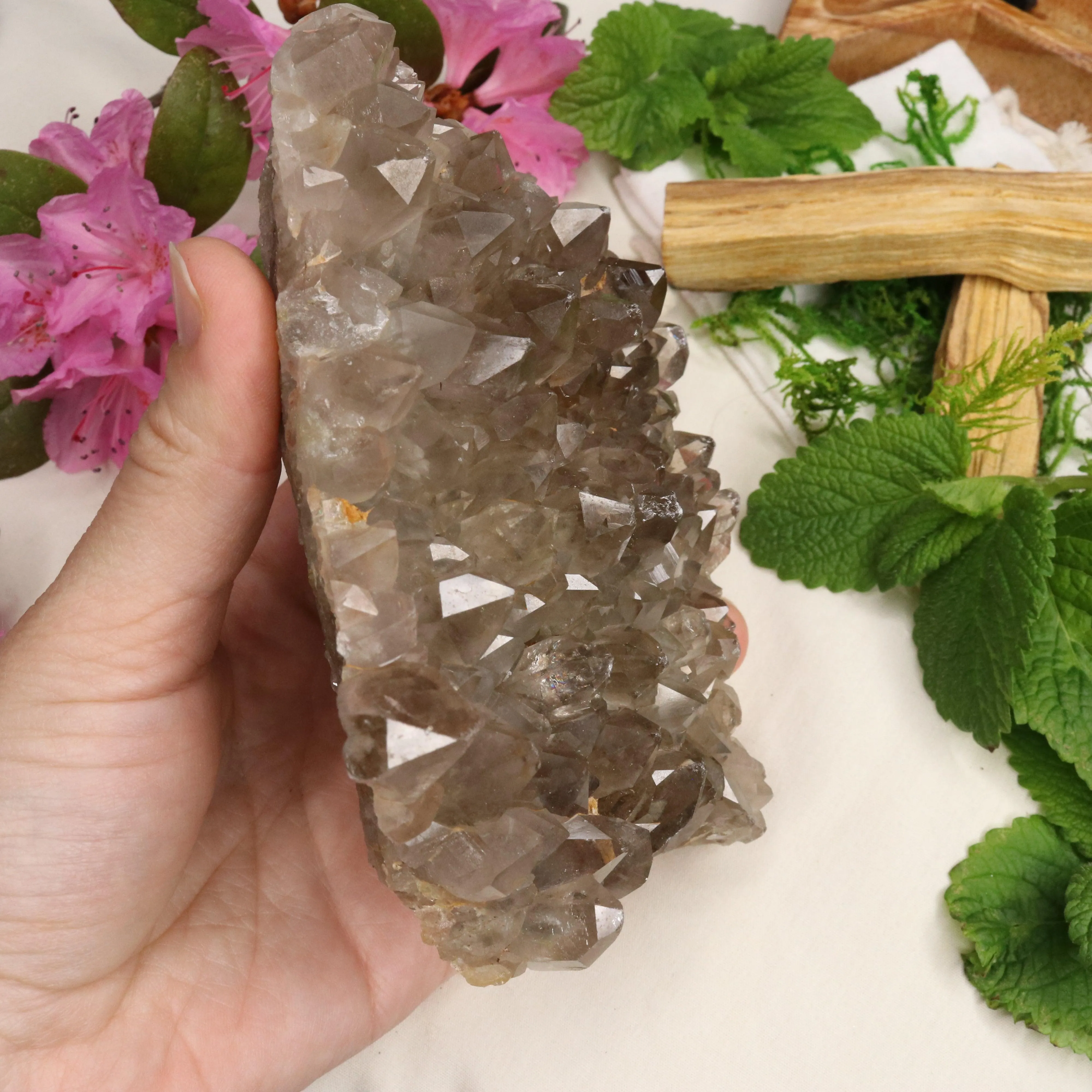 Large Grade A Smoky Quartz Cluster ~ Grounding and Meditative